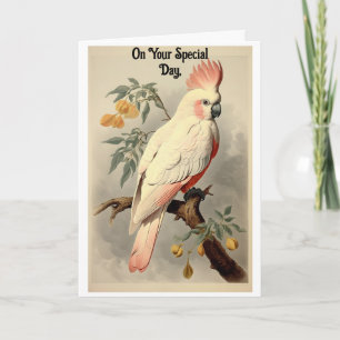 Vintage Tropical Bird Birthday Greeting Card
