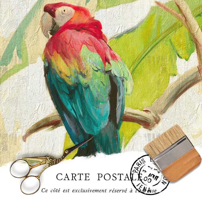 Vintage Tropical Bird Rustic Texture Decoupage Tissue Paper (Creator Uploaded)