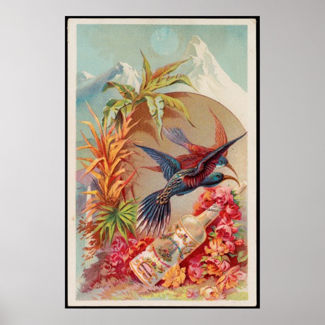 Vintage Tropical Birds Florida Water Advertisement Poster (Front)