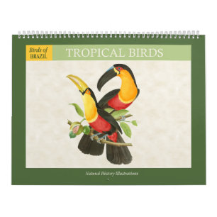 Vintage Tropical Birds Illustrations 2027 Calendar