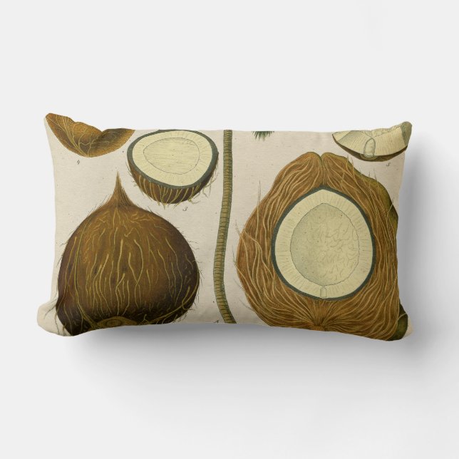 Vintage tropical coconut lumbar cushion (Front)