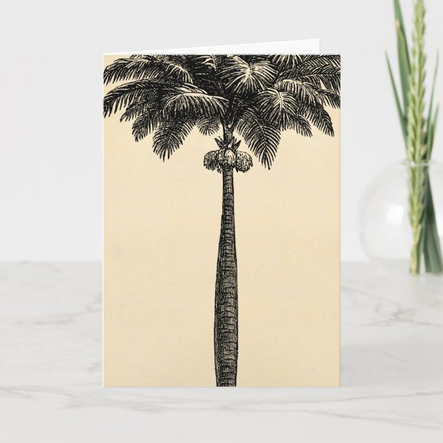 Vintage Tropical Island Palm Tree Template Blank Card (Front)