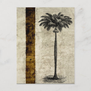 Vintage Tropical Island Palm Tree Template Blank Postcard