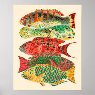 Vintage tropical ocean fish poster
