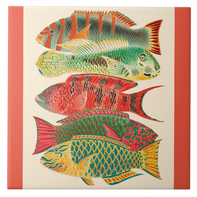 Vintage tropical ocean fish tile (Front)