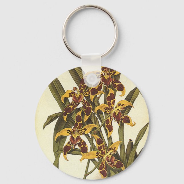 Vintage Tropical Odontoglossum Orchid Flowers Key Ring (Front)