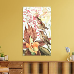 Vintage Tropical Orchids, Flowers and Hummingbirds Canvas Print