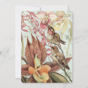 Vintage Tropical Orchids, Flowers and Hummingbirds Invitation