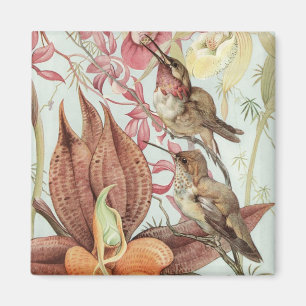 Vintage Tropical Orchids, Flowers and Hummingbirds Magnet