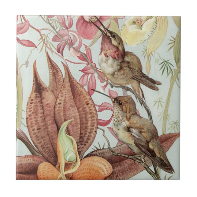 Vintage Tropical Orchids, Flowers and Hummingbirds Tile (Front)