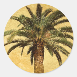Vintage Tropical Palm Tree Classic Round Sticker