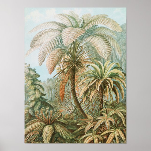 Vintage Tropical Palm Tree, Retro Botanical Poster (Front)