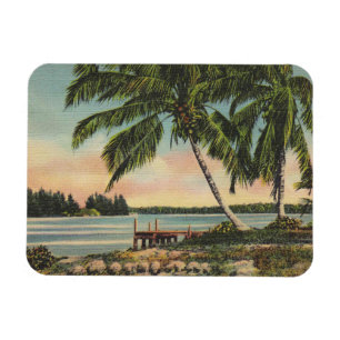 Vintage Tropical Palm Tree Sunset Magnet