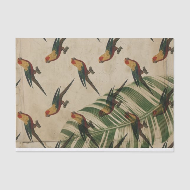 Vintage Tropical Parrot Tissue Paper (Front)