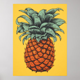 Vintage Tropical Pineapple Poster