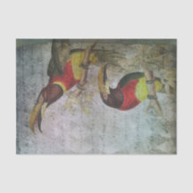 Vintage Tropical Toucan