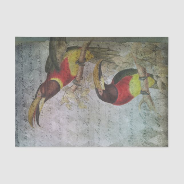 Vintage Tropical Toucan Tissue Paper (Front)