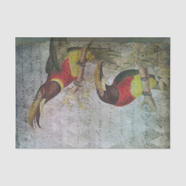 Vintage Tropical Toucan Tissue Paper (Front)