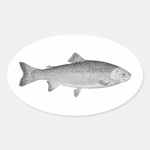 Vintage Trout Oval Sticker
