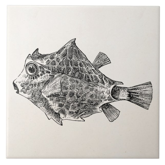 Vintage Trunk Fish - Aquatic Fishes Template Blank Tile (Front)