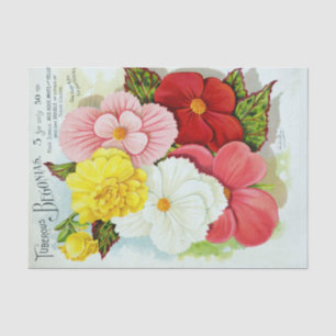 Vintage Tuberous Begonias Floral Tissue Paper