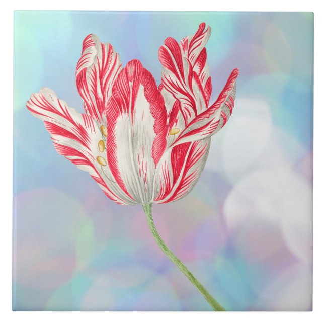 Vintage Tulip Ceramic Tile (Front)