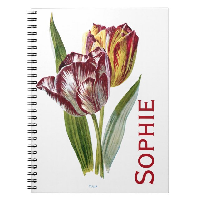 Vintage Tulip Flowers Personnalised Notebook (Front)