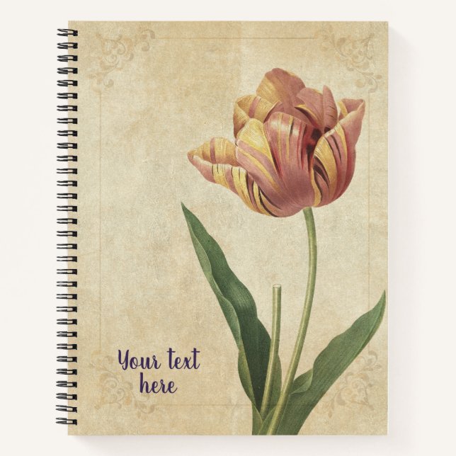 Vintage Tulip (Tulipa culta) Notebook (Front)