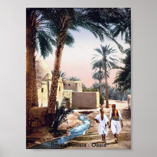 Vintage Tunisia: An Oasis Poster (Front)