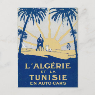 Vintage Tunisie Travel Postcard