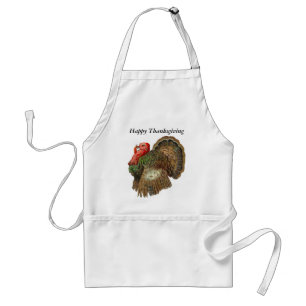 Vintage Turkey Apron