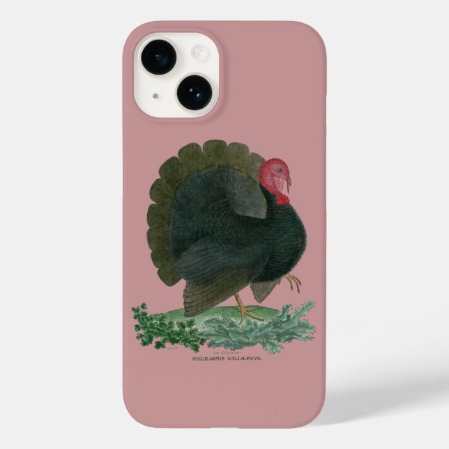 Vintage Turkey Case-Mate iPhone Case (Back)