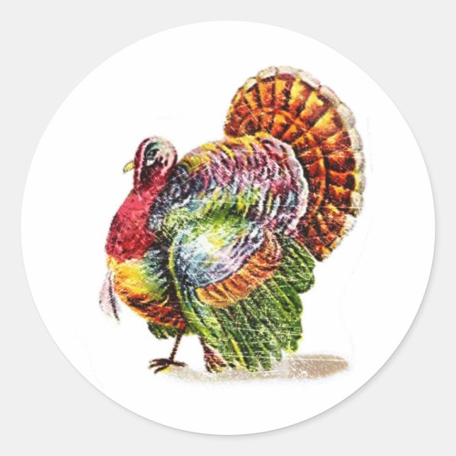 Vintage Turkey Classic Round Sticker (Front)