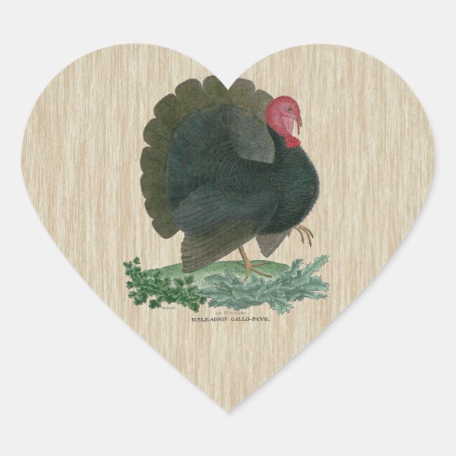Vintage Turkey Heart Sticker (Front)