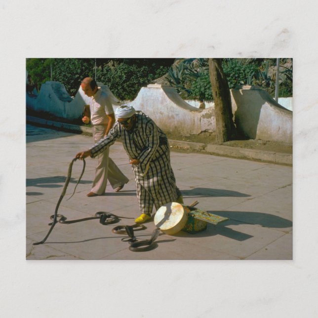 Vintage Turkey - Istanbul Snake charmer Postcard (Front)