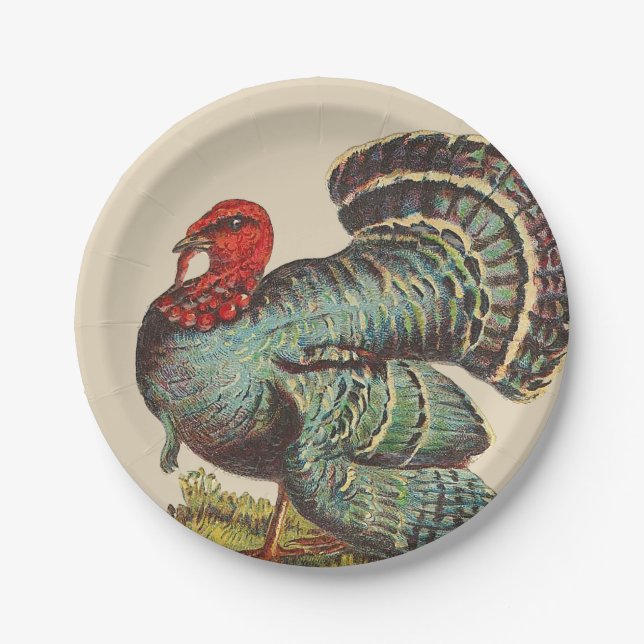 Vintage Turkey Paper Plate (Front)