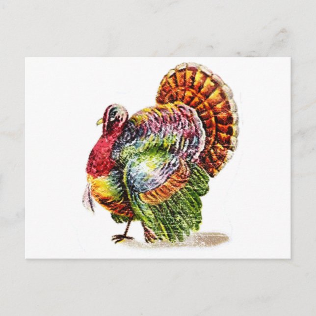 Vintage Turkey Postcard (Front)