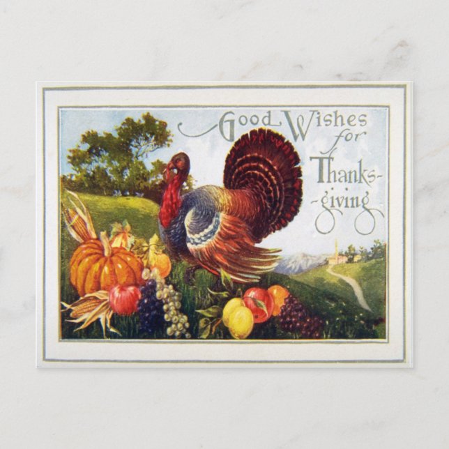 Vintage Turkey Thanksgiving Holiday Postcard (Front)