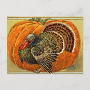 Vintage Turkey Thanksgiving Postcard
