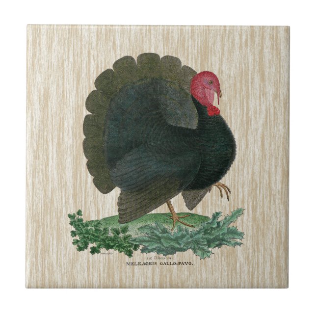 Vintage Turkey Tile (Front)