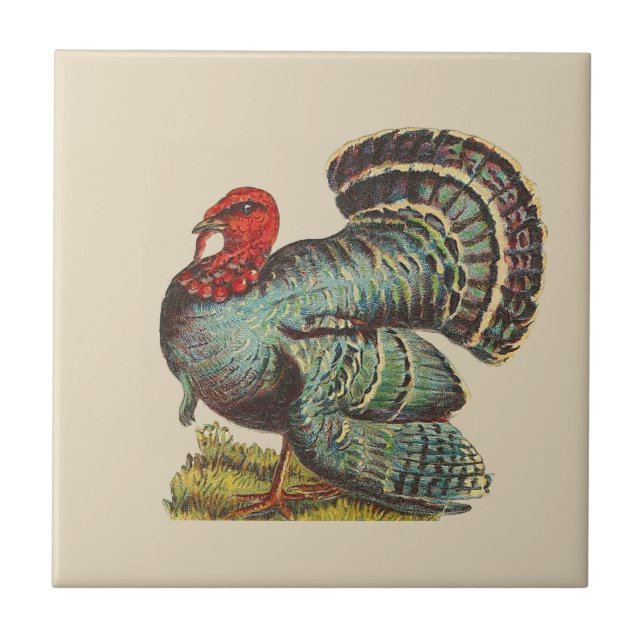 Vintage Turkey Tile (Front)