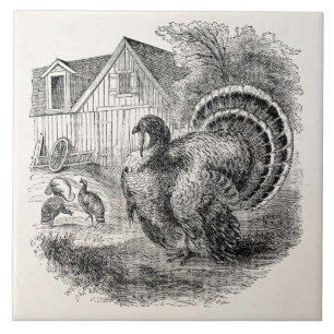 Vintage Turkeys - Personalised Barn Turkey Birds Tile