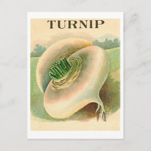 vintage turnip seed packet postcard