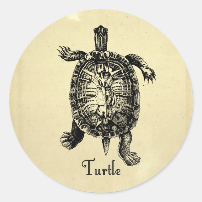 VINTAGE TURTLE CLASSIC ROUND STICKER (Front)
