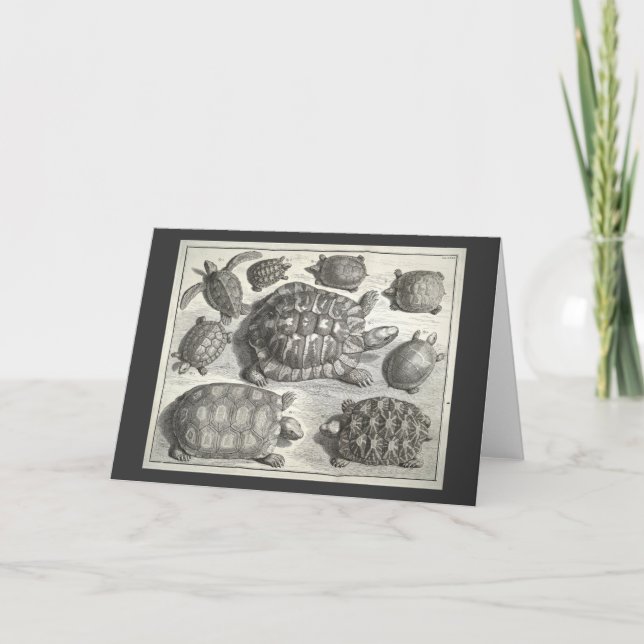 Vintage Turtle Etching Card (Front)