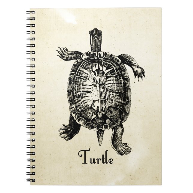 VINTAGE TURTLE NOTEBOOK (Front)