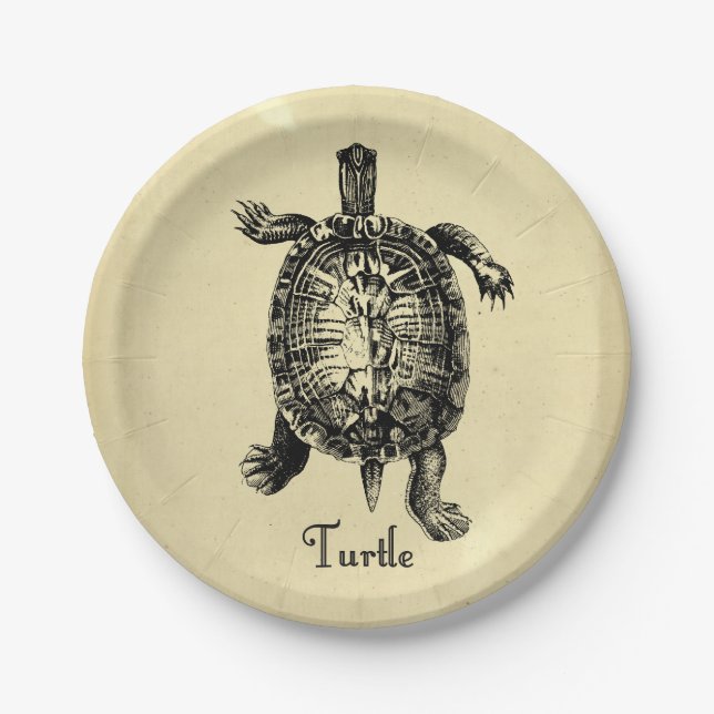 VINTAGE TURTLE PAPER PLATE (Front)