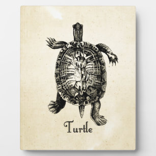 VINTAGE TURTLE PLAQUE