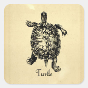 VINTAGE TURTLE SQUARE STICKER