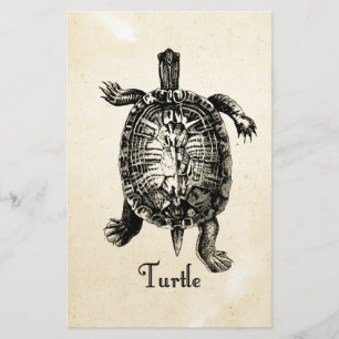 VINTAGE TURTLE STATIONERY
